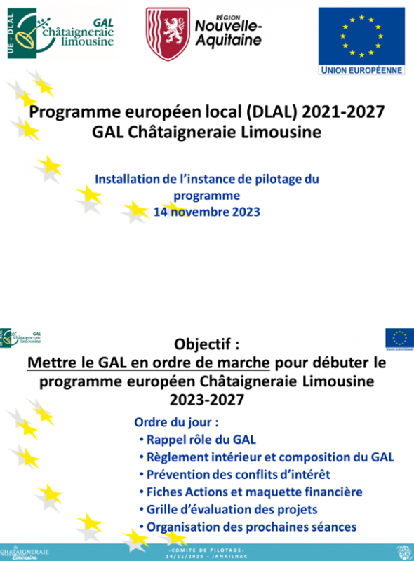 Comité pilotage fonds européens